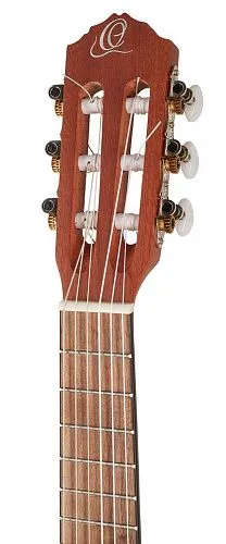 Ortega RGL5CE Bonfire Series Гиталеле.