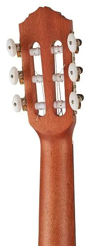 Ortega RGL5CE Bonfire Series Гиталеле.